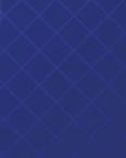 main slider